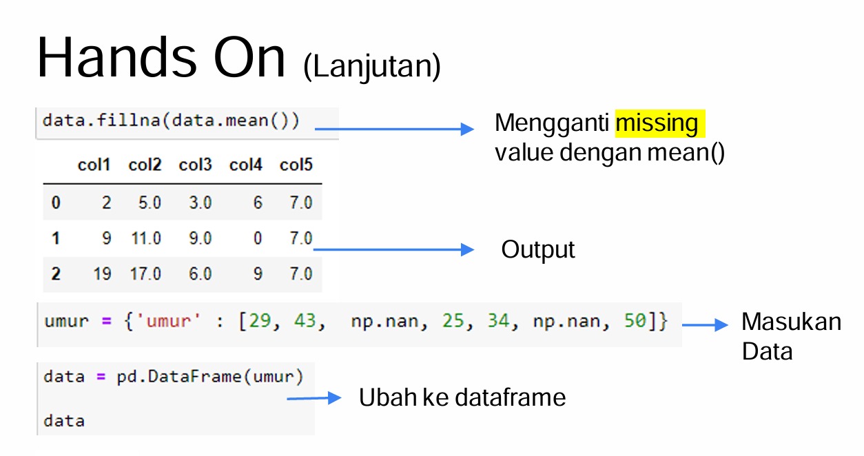 Penangan data NULL dan visualisasi 
