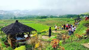 Menciptakan Pengalaman Wisata yang Otentik: Pengembangan Desa Wisata Berbasis Agrowisata - Panda