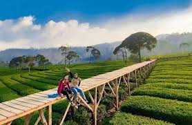 Desa Wisata: Pengertian, Tujuan, dan Komponen Kunci Pemberdayaan - Mercusuar.co